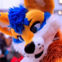 🚀 𝙆𝙊𝙊𝙋𝙀𝙍 🚀(@KooperShiba) 's Twitter Profile Photo