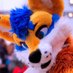 ๐๐๐๐๐๐ ๐ (@koopershiba) Twitter profile photo ๐๐๐๐๐๐ ๐ (@koopershiba) Twitter profile photo