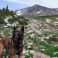 La Torpille 🇨🇵🌿 (@sylviee22140659) 's Twitter Profile Photo La Torpille 🇨🇵🌿 (@sylviee22140659) 's Twitter Profile Photo