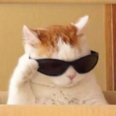Web 3, NFT enthusiast | Discord: velja001