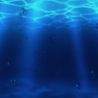 手裏剣サッシー (@suriken_tiger) 's Twitter Profile Photo