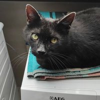 mirco1205 (@mirco1205) Twitter profile photo