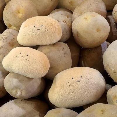 daehong0120's profile picture. 말하는 걈쟈일뿐..🥔

풀스택 공부 중📖