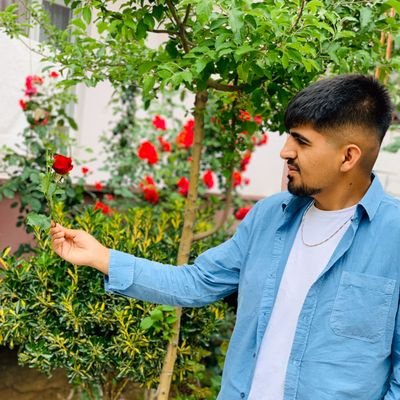 Osmandrsn72's profile picture. B.Ü👨‍🚒
@fenerbahçe💛💙