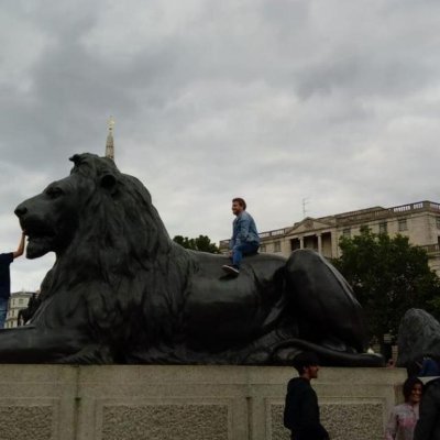 ganchoperfecto's profile picture. No direction home