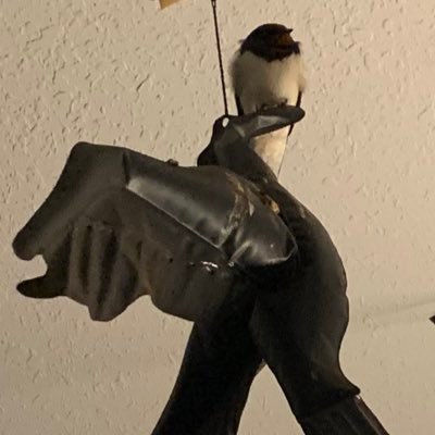 mochi_226's profile picture. 成人済み。地雷配慮ありません。何でもかんでもつぶやきます。配信者さんのこと呟きます。