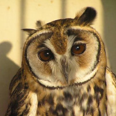 Marrentoss1's profile picture. Nao é nada pessoal...é só DEBOCHE!!😁😉