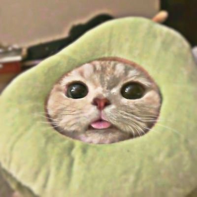 Kato_redy's profile picture. Um rio que segue vários caminhos♋
