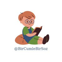 Bir Cümle Bir Söz (@bircumlebirsoz) Twitter profile photo