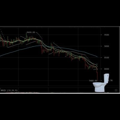 -Crypto since 2017 -Survived Covid crash 3/12/20 -Was rekt due to implosion of Luna/Anchor/UST in ‘22 -Still here in the space and accumulating as I see fit.