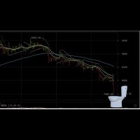 Rugged by Do (@kh_crypto12) 's Twitter Profile Photo