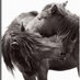 Michael Stuart (@msdesignltd1) Twitter profile photo Michael Stuart (@msdesignltd1) Twitter profile photo