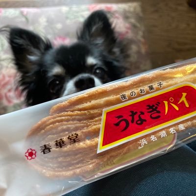 スノ:めめ,ACEes(箱推し):特に那須君大好きで作間君も応援してます,KEY:大昇君 TJ:しめちゃん M!LK 柔太朗君,JONGKOOK 許豊凡📺ジュエ垢(Tiffany,VCA,CELINE)30代ゆるふわツイ廃主婦@mochiyamadx605