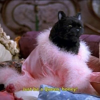 Damadelirios's profile picture. Mucho video paranormal y libros de Agatha Christie, son el dulce de leche de mi vida 🖤💕            Ciudadana del reino de la nostalgia ❄️