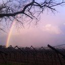 Suzanne Giles - @suzgiles1978 - Twitter