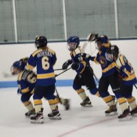 Goalie Mindset (@goaliemindset) 's Twitter Profile