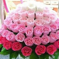 ابوالطيب (@asemmaher5) 's Twitter Profile