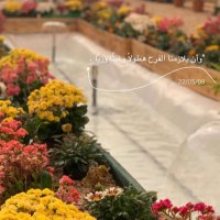 بنت الجنوب. (@sma123344) 's Twitter Profile