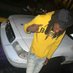 $ (@_datniggabrando) Twitter profile photo $ (@_datniggabrando) Twitter profile photo