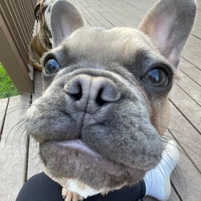 MadiSumner417's profile picture. 