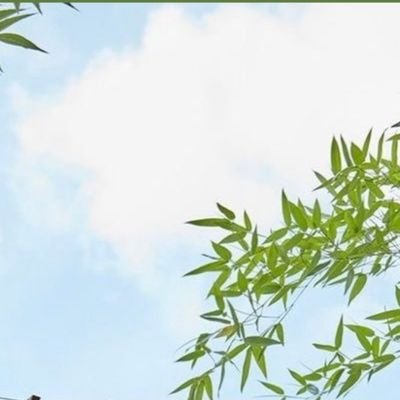 ماجستير عقيدة ومذاهب معاصرة 🤍💚🕊  
 مستشارة تعديل سلوك
مدققة_لغوية
snap: wafa.mail