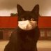 KunstKater Jan Jaap de Jagerยฎ๏ธ (@kunstkater) Twitter profile photo KunstKater Jan Jaap de Jagerยฎ๏ธ (@kunstkater) Twitter profile photo