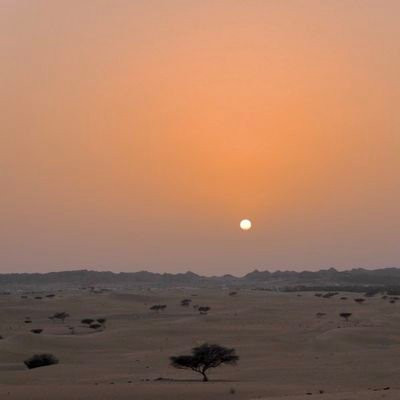 Wafi1133's profile picture. ‏‏؛