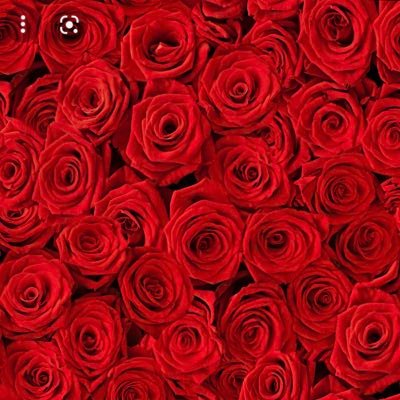 تفائل في الحياه تجدوه / عند الله امور لاتعلمها. ثقك بالله وكون مع الله والله يعطيك العوض الجميل الذي يأتيك من حيث لاتدري 🤲🏻💜🌹♥️😊🥰