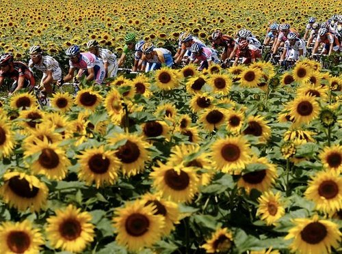 CarmenCDJ's profile picture. preocupada por OBJETIVIDAD de los medios,justicia SOCIAL