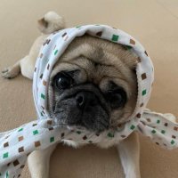 天体やろー (@5135f889095f400) 's Twitter Profile