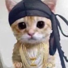 Purpp4KT's profile picture. 