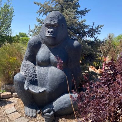 jlcb02's profile picture. Jl