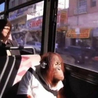 soplapollas3001's profile picture. 