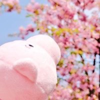なっ豆腐📛 (@328_100) Twitter profile photo