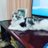 どるけん情報アカウントのTwitterプロフィール画像