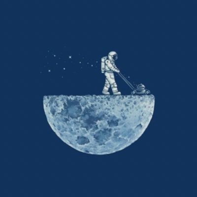 VolsisZ's profile picture. Succes and nothing less