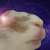 Nick 🐀 (@minus_the_olas) Twitter profile photo Nick 🐀 (@minus_the_olas) Twitter profile photo