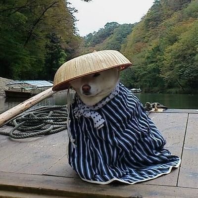 fu_rujin's profile picture. 22
He/Him
Phil/Am
:3