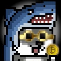 0xKJJ | 0xkjj.bnb (@georgekuo9) 's Twitter Profile