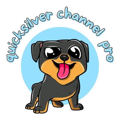 quicksilver channel pro