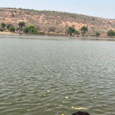 lazyboy1990's profile picture. Do your work