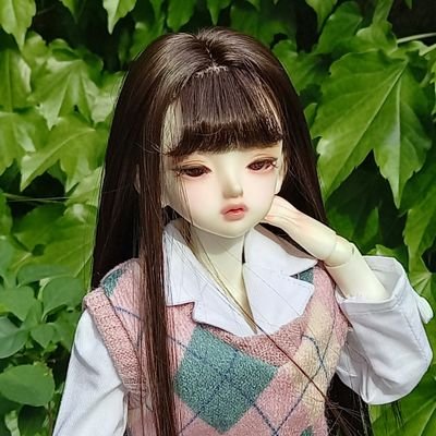 BJD✧ 중부권 2nㅣ유딩 ~ 75급