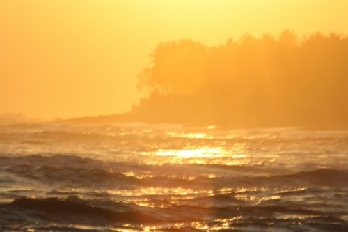 Alfblanco's profile picture. 