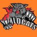 West Toronto Wildcats 2005 (@WestToronto2005) Twitter profile photo