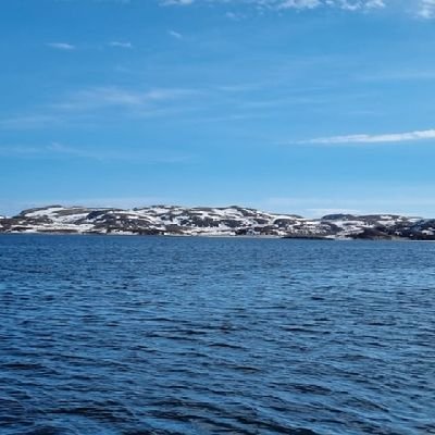 cibermax51's profile picture. Engineer c#, radio tech, mechanic, electric superman :)))