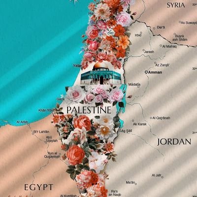 les palestiniens sont le peuple autochtone de la Palestine
les israéliens sont de différentes races et origines qui colonisent une terre qui n’est pas la leurs