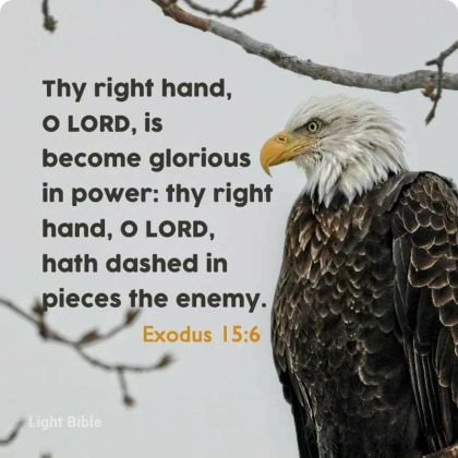 BayisOrdein's profile picture. Bayinso