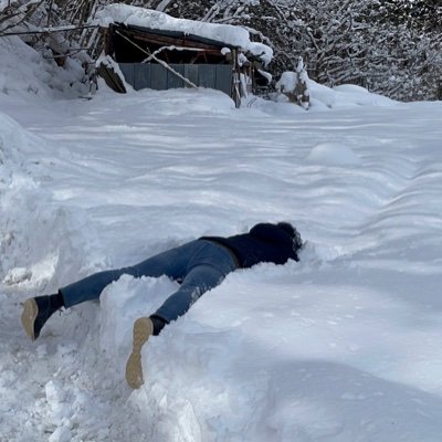 ラーメン、雪山、ユニコーン、outback、鎌倉、札幌、行政書士、独立