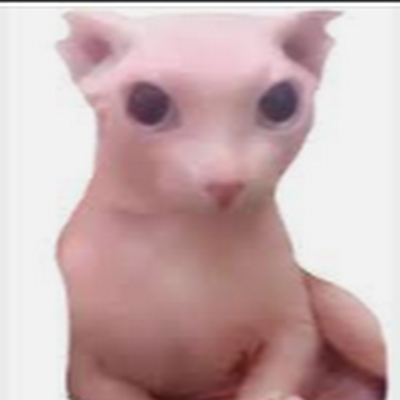 NibbasBeWilin's profile picture. 