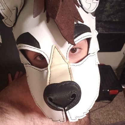 18+ Only - Minnesota- M/Pan/Primal wolf top just wants to be the best boy. Sex positive goober. ADHD/ND. Vaccinated! Open relationship. Owner of @trashcatttAD.